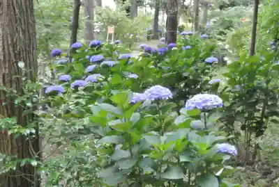 石刀神社(愛知県)