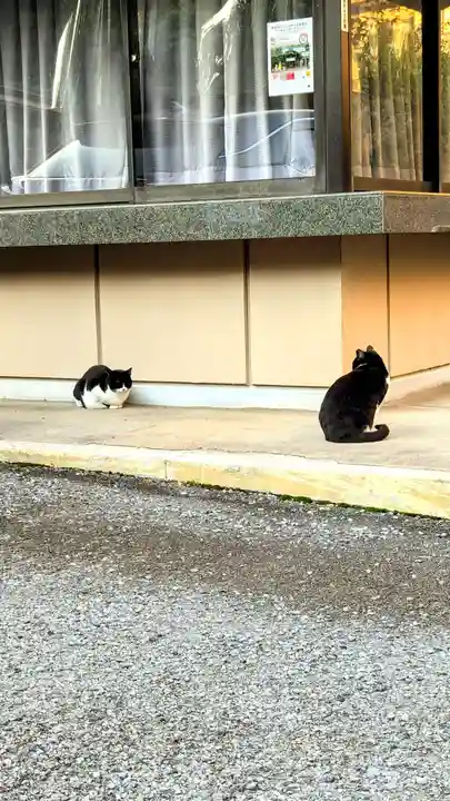 白金氷川神社(東京都)