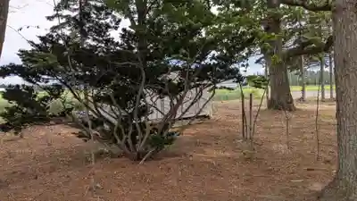 出雲神社の自然