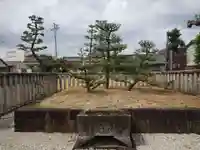 松應寺のお墓