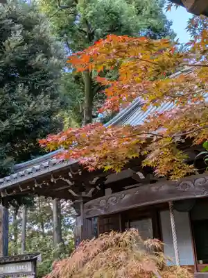 妙法寺(東京都)