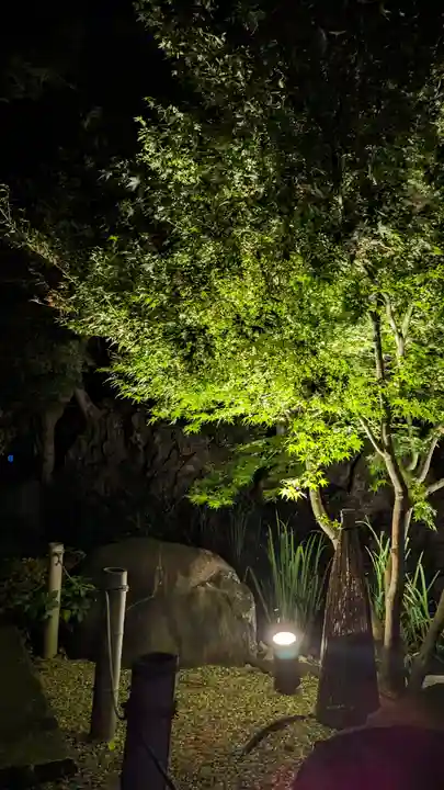 興聖寺(興聖寶林禅寺)(京都府)