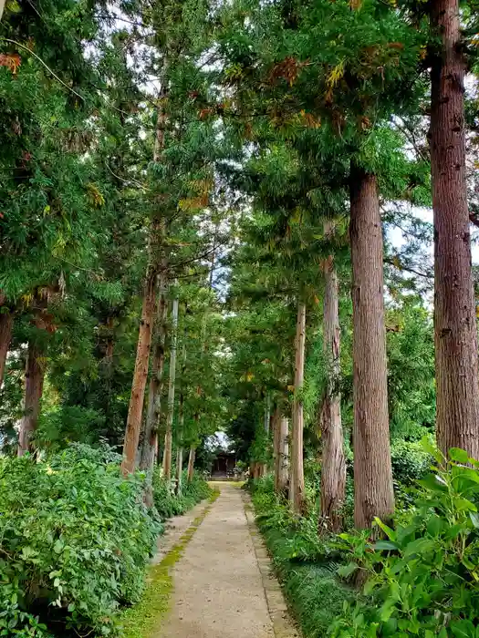 医王寺の建物その他