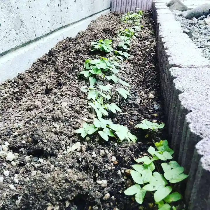 七重浜海津見神社のその他建物