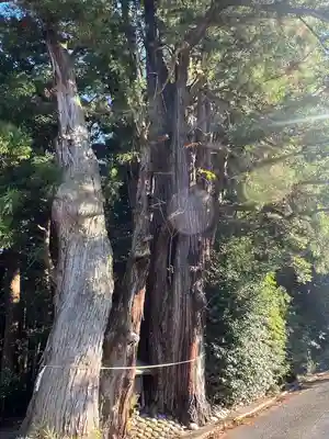 萩日吉神社(埼玉県)