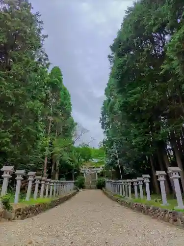 熊野社（東菱野町）の建物その他