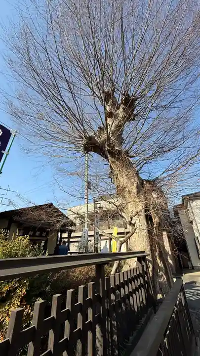 今宮坊(埼玉県)