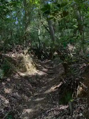 浅間神社の自然