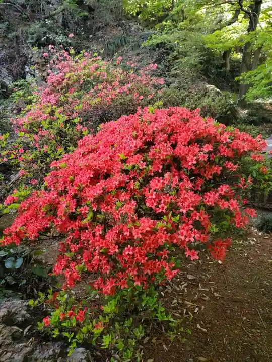 唐澤山神社(栃木県)