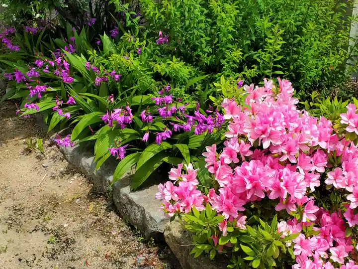 大物主神社の自然