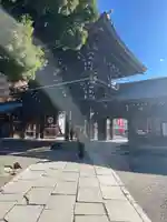 真清田神社(愛知県)