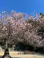 清水寺(静岡県)