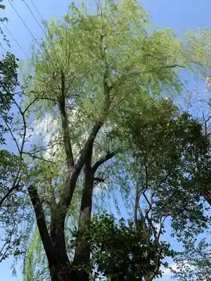 稲荷神社(千葉県)