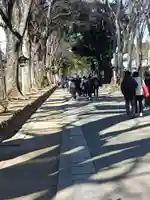 武蔵一宮氷川神社の御朱印