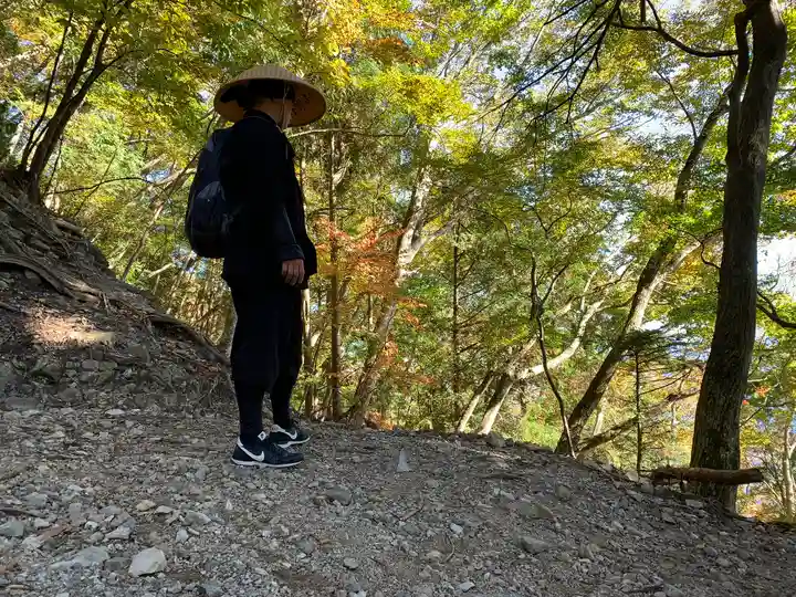 身延山奥之院思親閣の自然