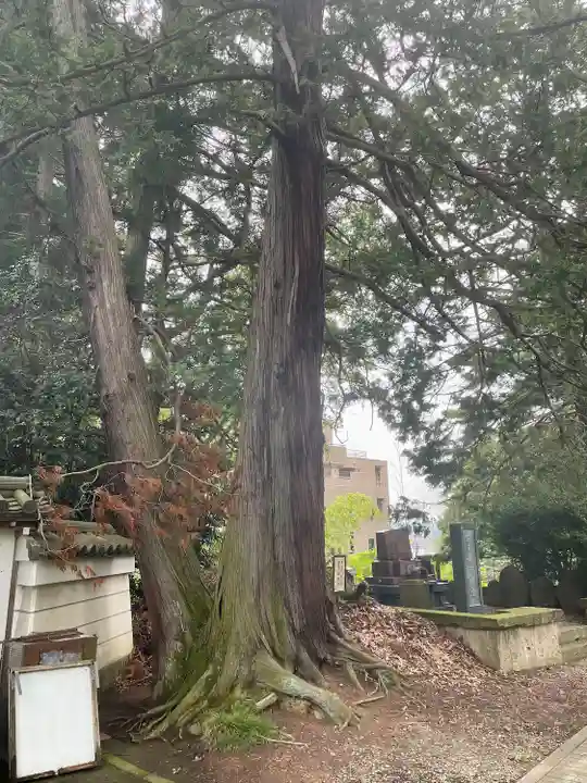 光明寺(宮城県)