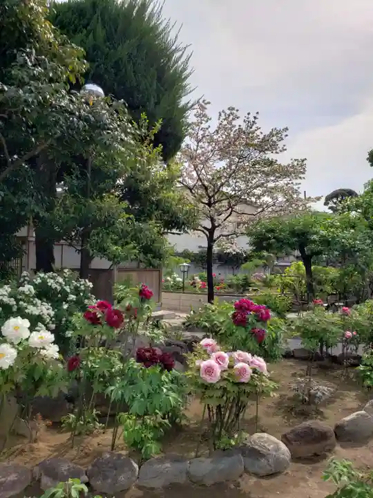 禅定院(東京都)