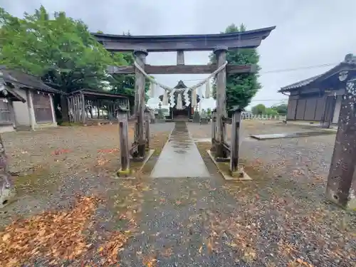 常世岐姫神社の鳥居