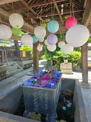 柳谷観音　楊谷寺(京都府)
