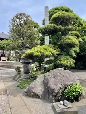 大円寺(東京都)