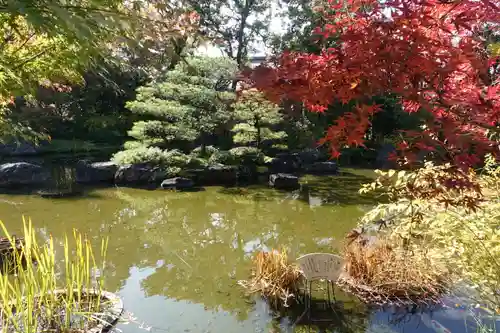 城南宮の庭園