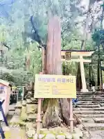 飛瀧神社(熊野那智大社別宮)の{uncategorized: "未分類", other: "その他", undefined: "問題あり", building: "その他建物", grave: "お墓", sacred_gate: "鳥居", guardian: "狛犬", statue: "像", buddha: "仏像", history: "歴史", nature: "自然", garden: "庭園", animal: "動物", pagoda: "塔", temizu: "手水舎", mountain_gate: "山門・神門", sanctuary: "本殿・本堂", subordinate: "末社・摂社", art: "芸術", scenery: "景色", jizo: "地蔵", ema: "絵馬", goshuin: "御朱印", omikuji: "おみくじ", items: "授与品その他", amulet: "お守り", goshuincho: "御朱印帳", eats: "食事", festival: "お祭り", votive_dance: "神楽", shichigosan: "七五三参", wedding: "結婚式", experience: "体験その他", initially: "初詣", around: "周辺", anti_infection: "感染症対策"}