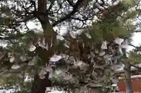 智恩寺(京都府)