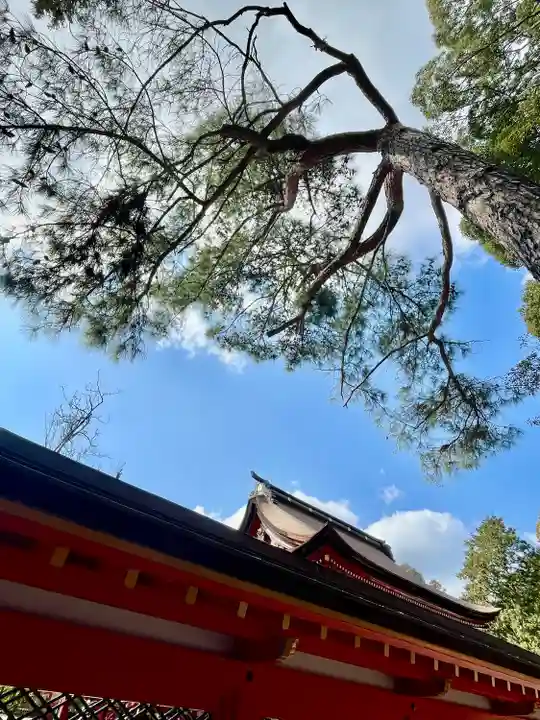 香椎宮(福岡県)