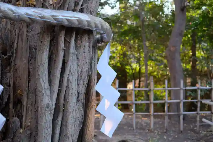 大國魂神社の{uncategorized: "未分類", other: "その他", undefined: "問題あり", building: "その他建物", grave: "お墓", sacred_gate: "鳥居", guardian: "狛犬", statue: "像", buddha: "仏像", history: "歴史", nature: "自然", garden: "庭園", animal: "動物", pagoda: "塔", temizu: "手水舎", mountain_gate: "山門・神門", sanctuary: "本殿・本堂", subordinate: "末社・摂社", art: "芸術", scenery: "景色", jizo: "地蔵", ema: "絵馬", goshuin: "御朱印", omikuji: "おみくじ", items: "授与品その他", amulet: "お守り", goshuincho: "御朱印帳", eats: "食事", festival: "お祭り", votive_dance: "神楽", shichigosan: "七五三参", wedding: "結婚式", experience: "体験その他", initially: "初詣", around: "周辺", anti_infection: "感染症対策"}