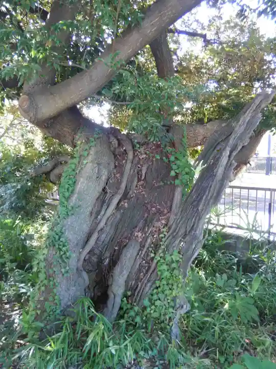 正福寺(東京都)