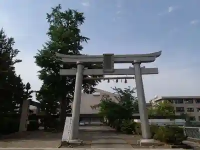 福井神社の鳥居