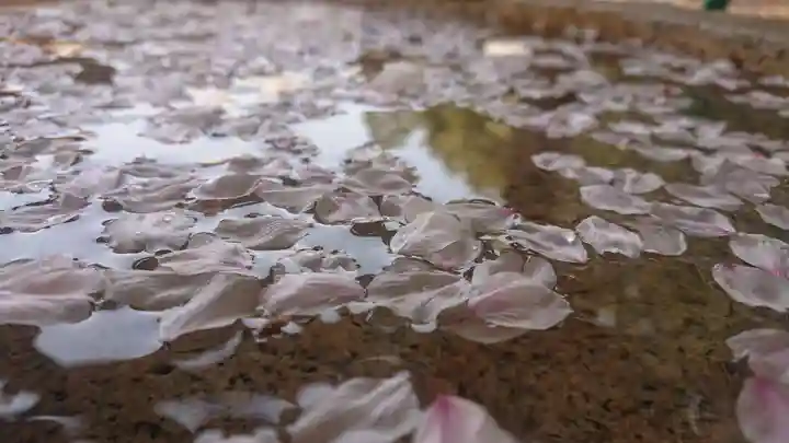 貴船神社の手水舎