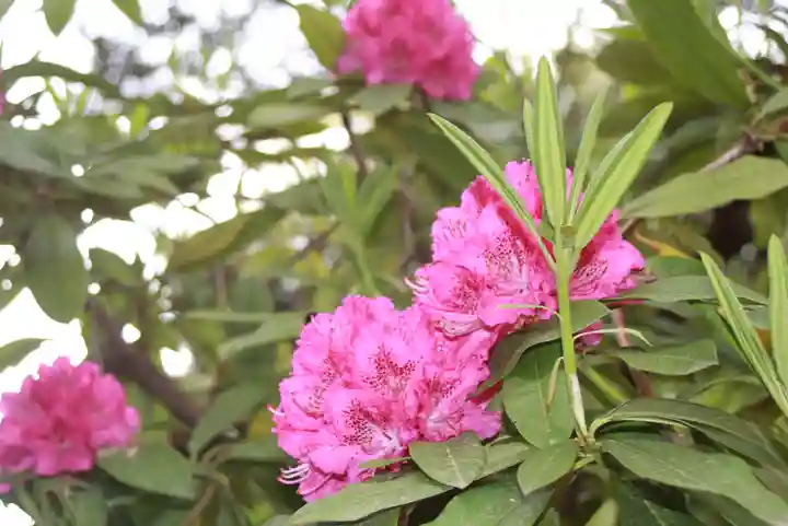 當麻寺 護念院(奈良県)