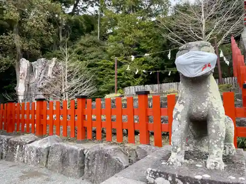 鶴岡八幡宮の狛犬