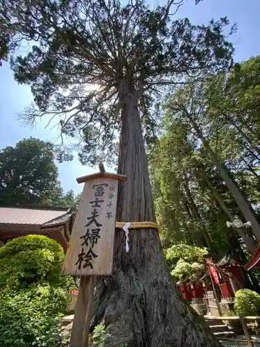 北口本宮冨士浅間神社(山梨県)