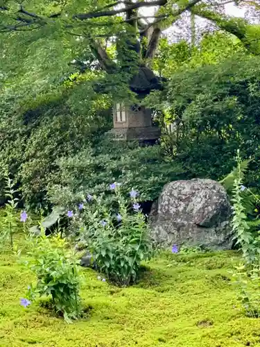 天得院(京都府)