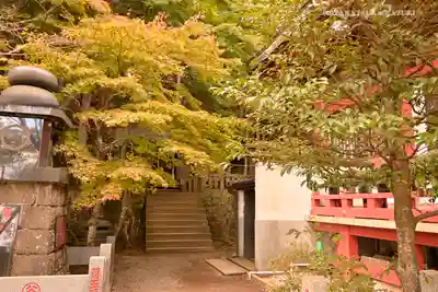 大山阿夫利神社のその他建物
