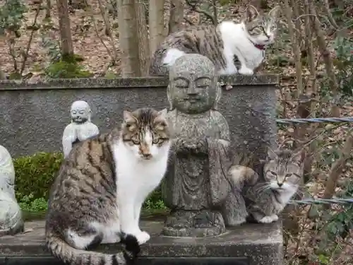 御誕生寺（猫寺）(福井県)