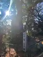 柞原八幡宮(大分県)