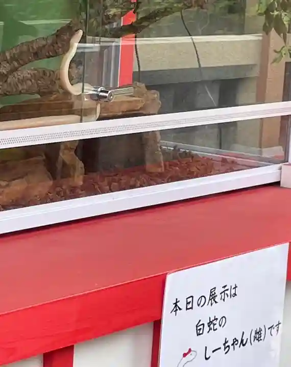 蛇窪神社のその他建物