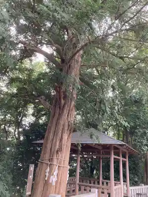 神鳥前川神社(神奈川県)