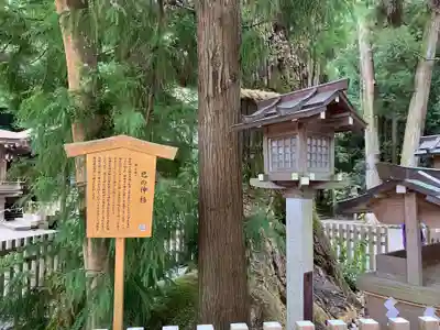 大神神社の自然