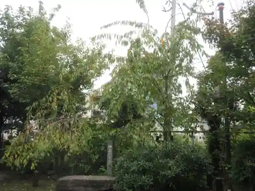 筑土八幡神社(東京都)