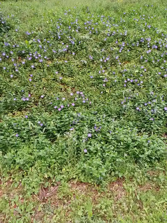 白狐山光星寺(山形県)