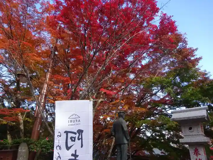 大山阿夫利神社の自然