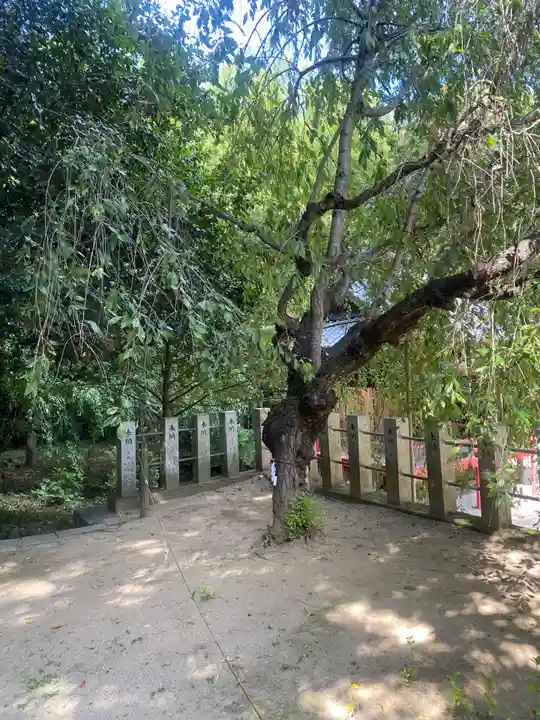 小川諏訪神社(福島県)