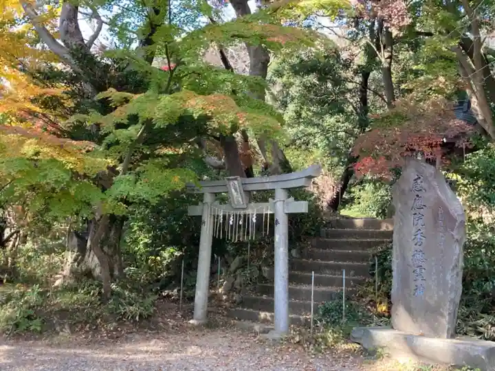 金毘羅社の鳥居