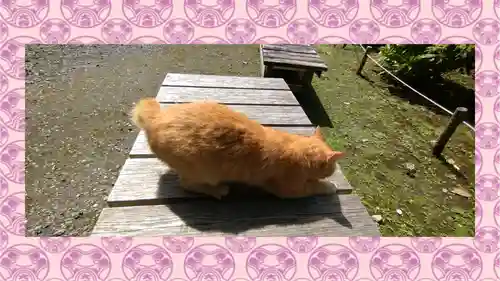 小松寺(千葉県)