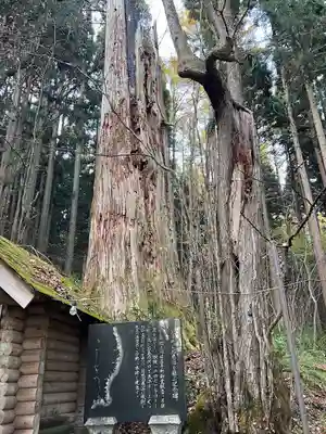 正覚院(岩手県)