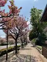 金剛院(東京都)